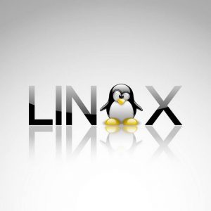 Linux Hosting Parked Domain